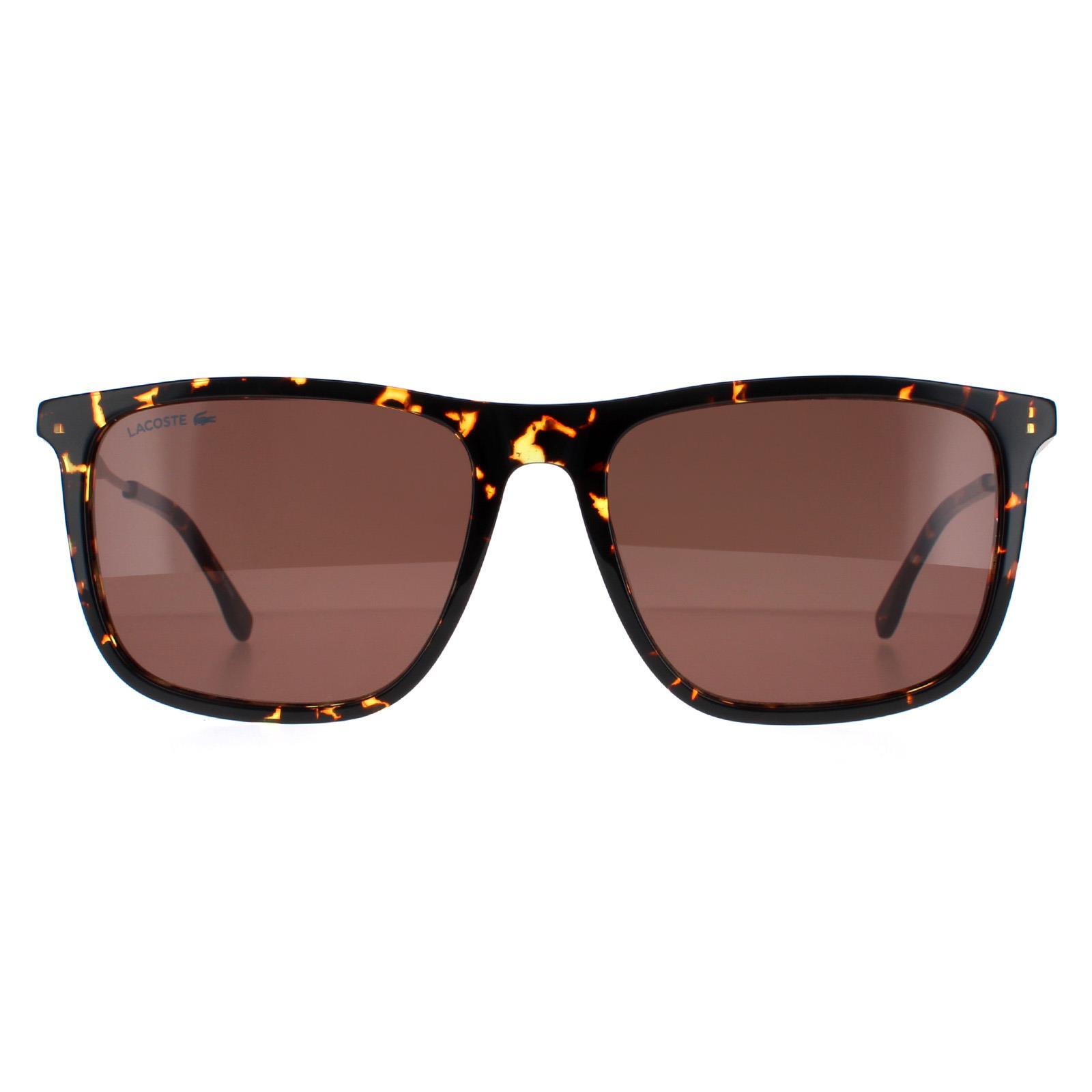Lacoste Square Mens Havana Brown L945S
