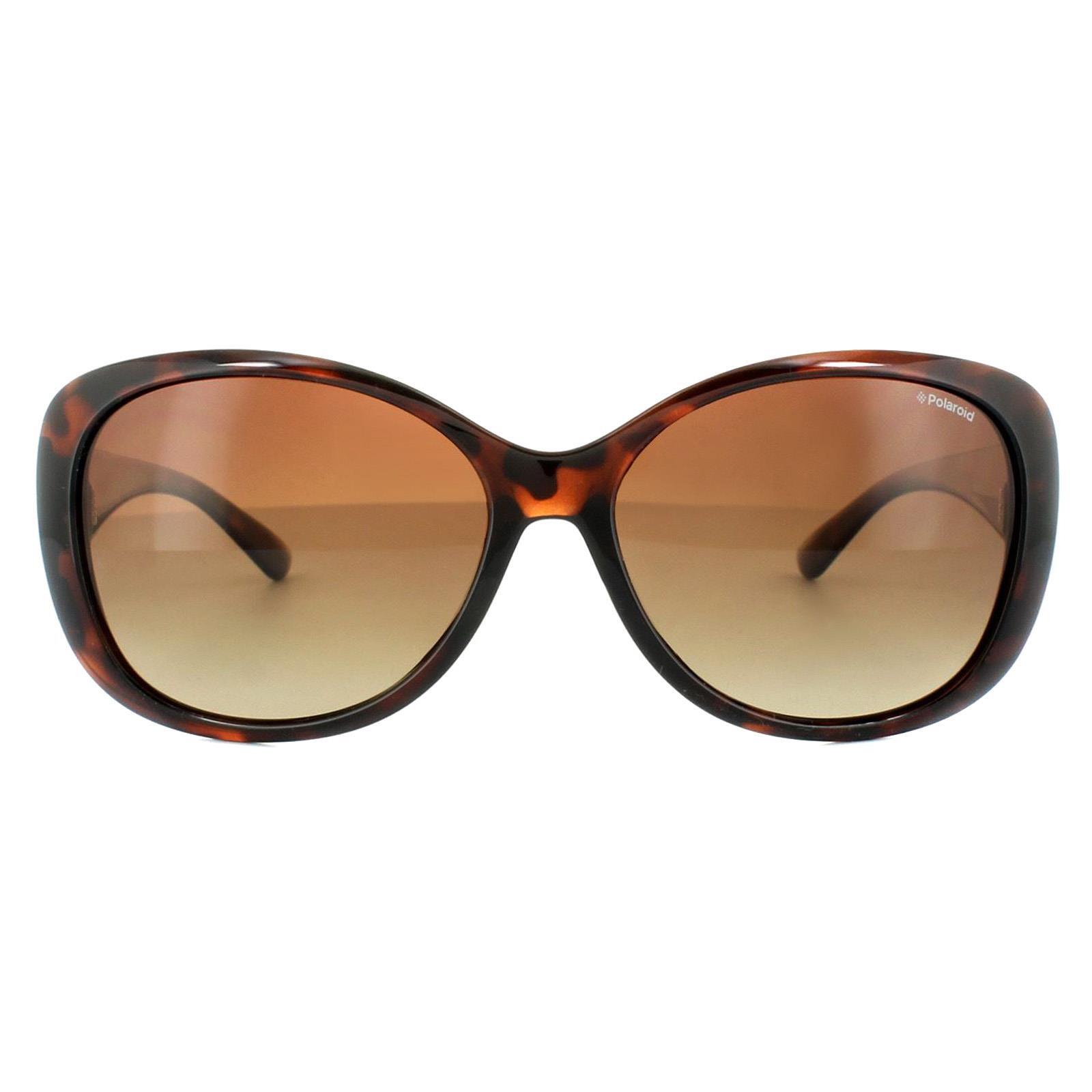 Polaroid Butterfly Womens Havana Brown Gradient Polarized Sunglasses