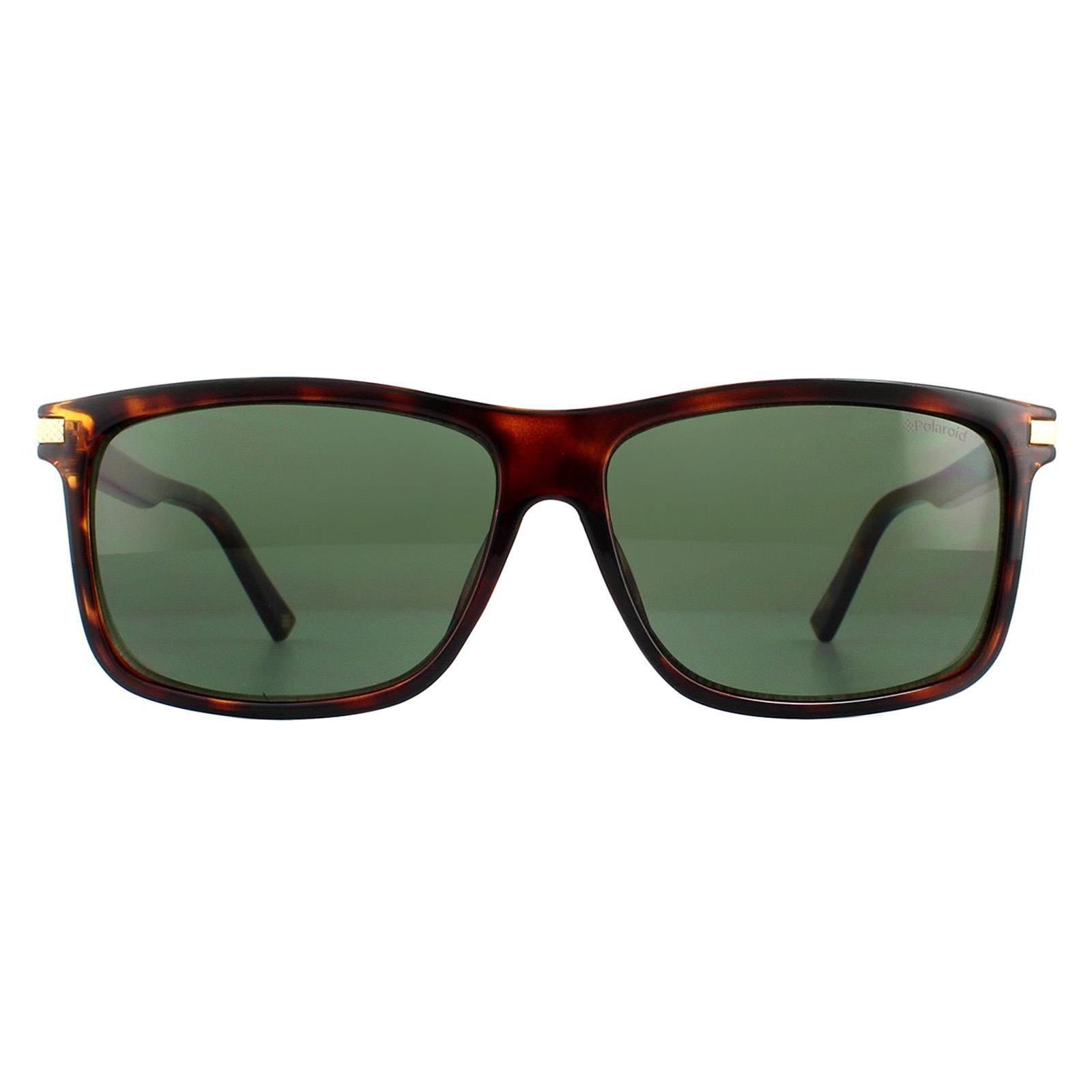 Polaroid Rectangle Mens Dark Havana Green Polarized Sunglasses
