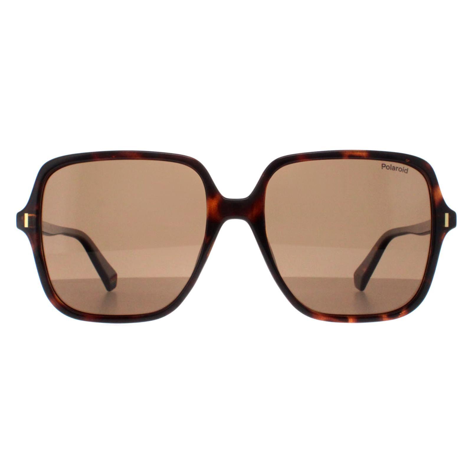 Polaroid Square Womens Havana Bronze Polarized PLD 6219/S