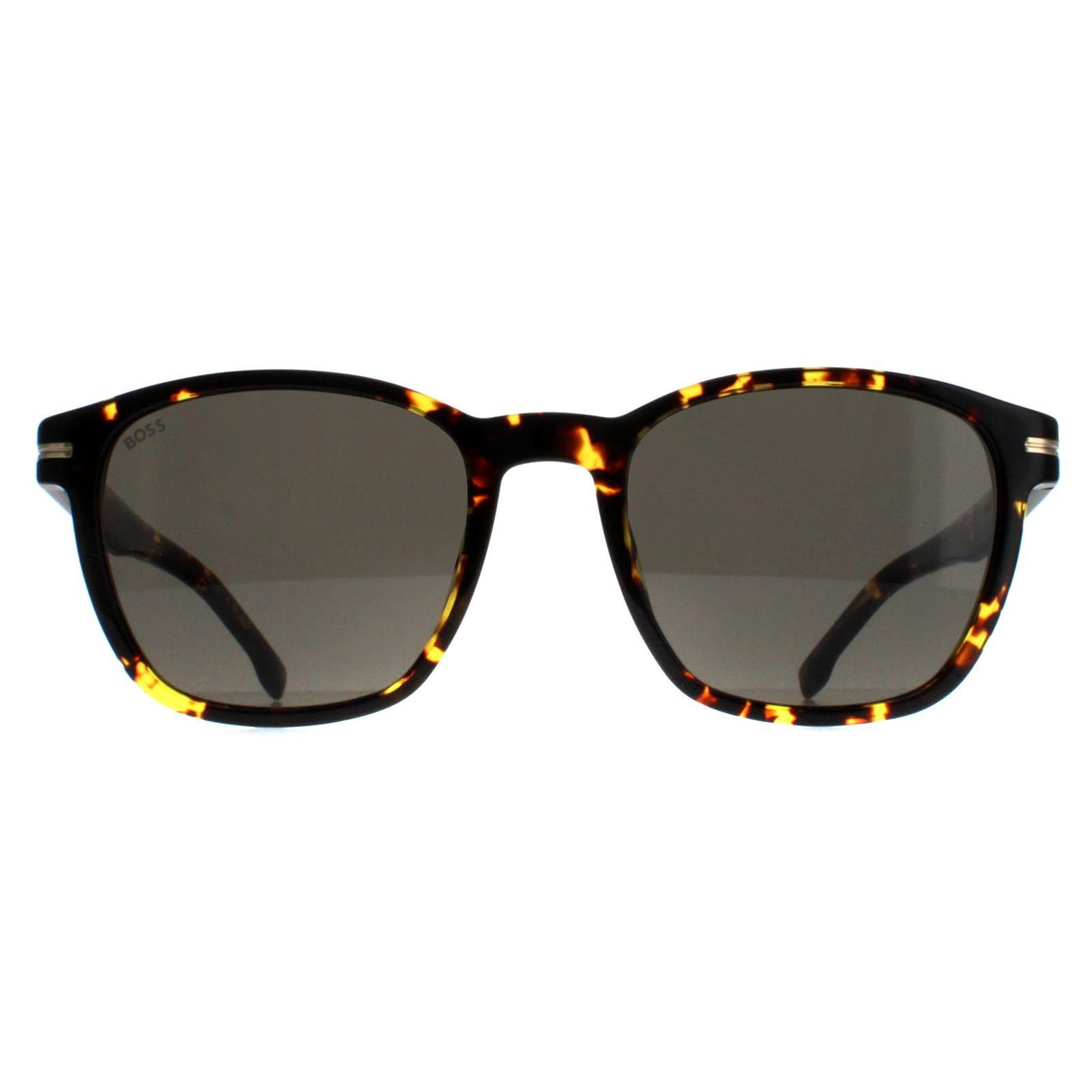 Hugo Boss Square Mens Havana Dark Grey BOSS 1505/S