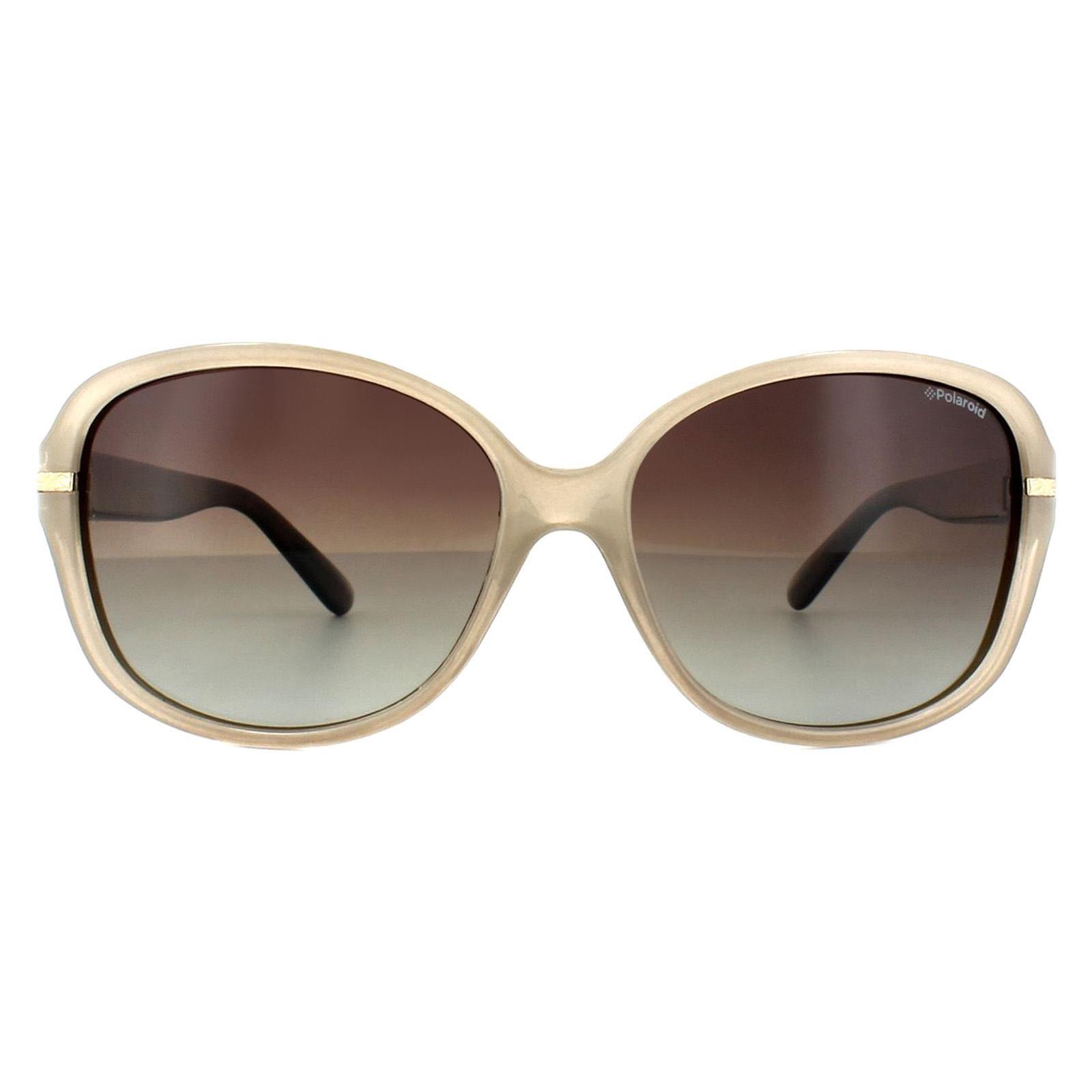 Polaroid Butterfly Womens Beige Havana Brown Gradient Polarized Sunglasses