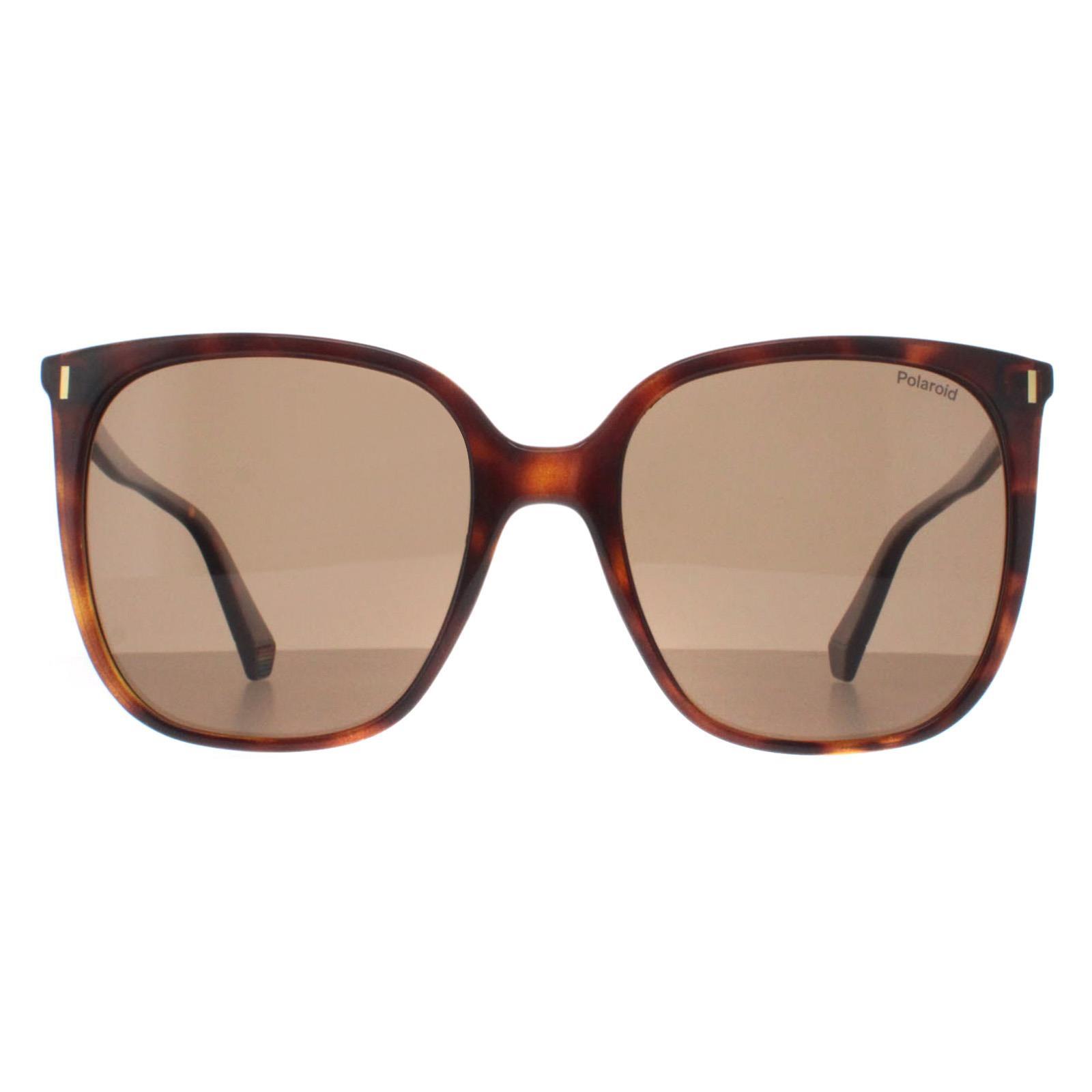 Polaroid Square Womens Havana Bronze Polarized PLD 6218/S
