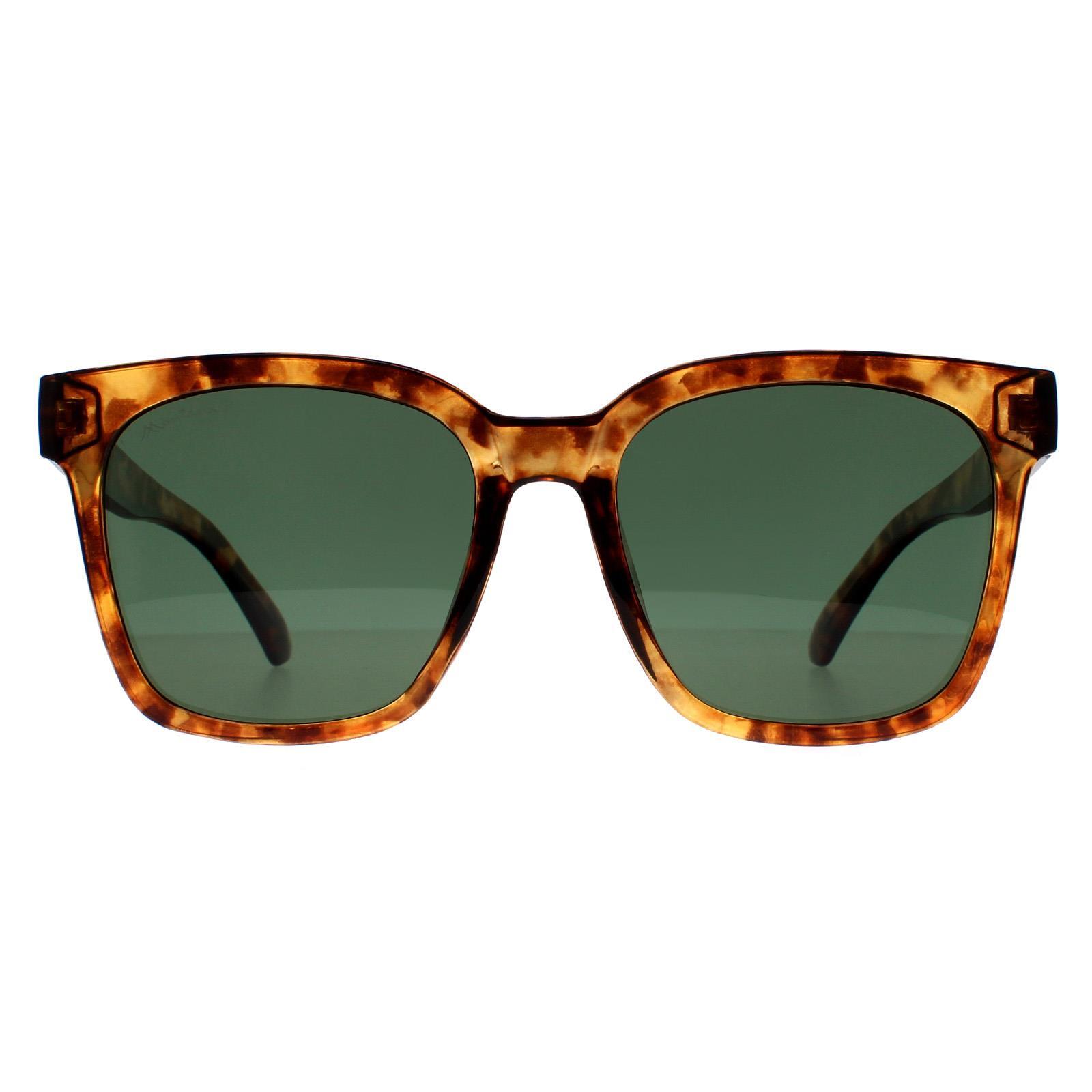 Montana Square Unisex Shiny Havana Soft Demi Green Polarized MP72