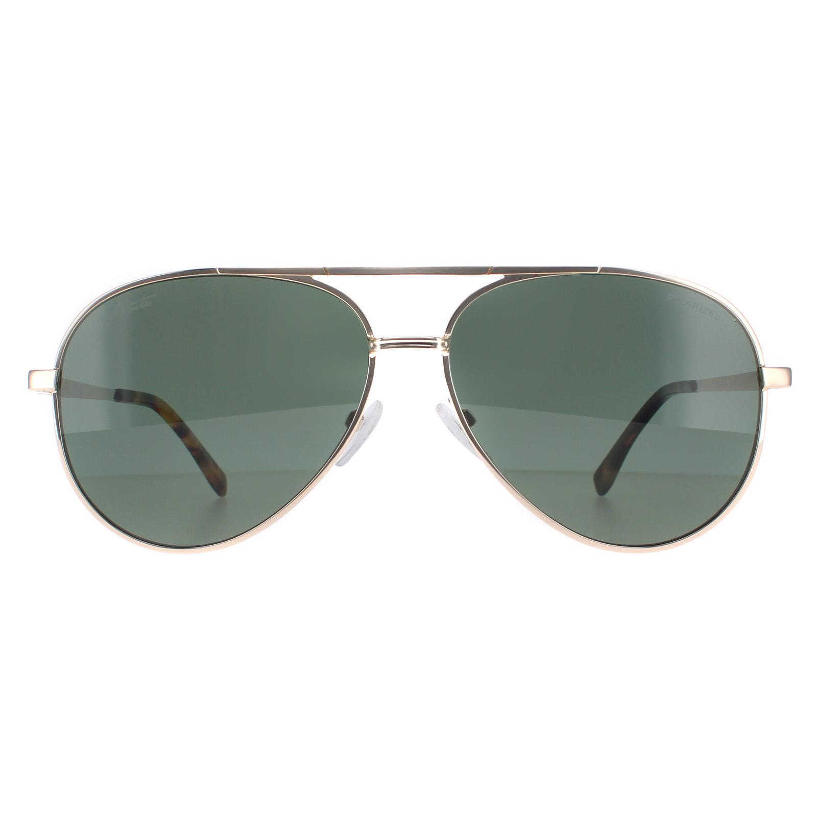 Lacoste Aviator Unisex Gold Green Polarized L233SP