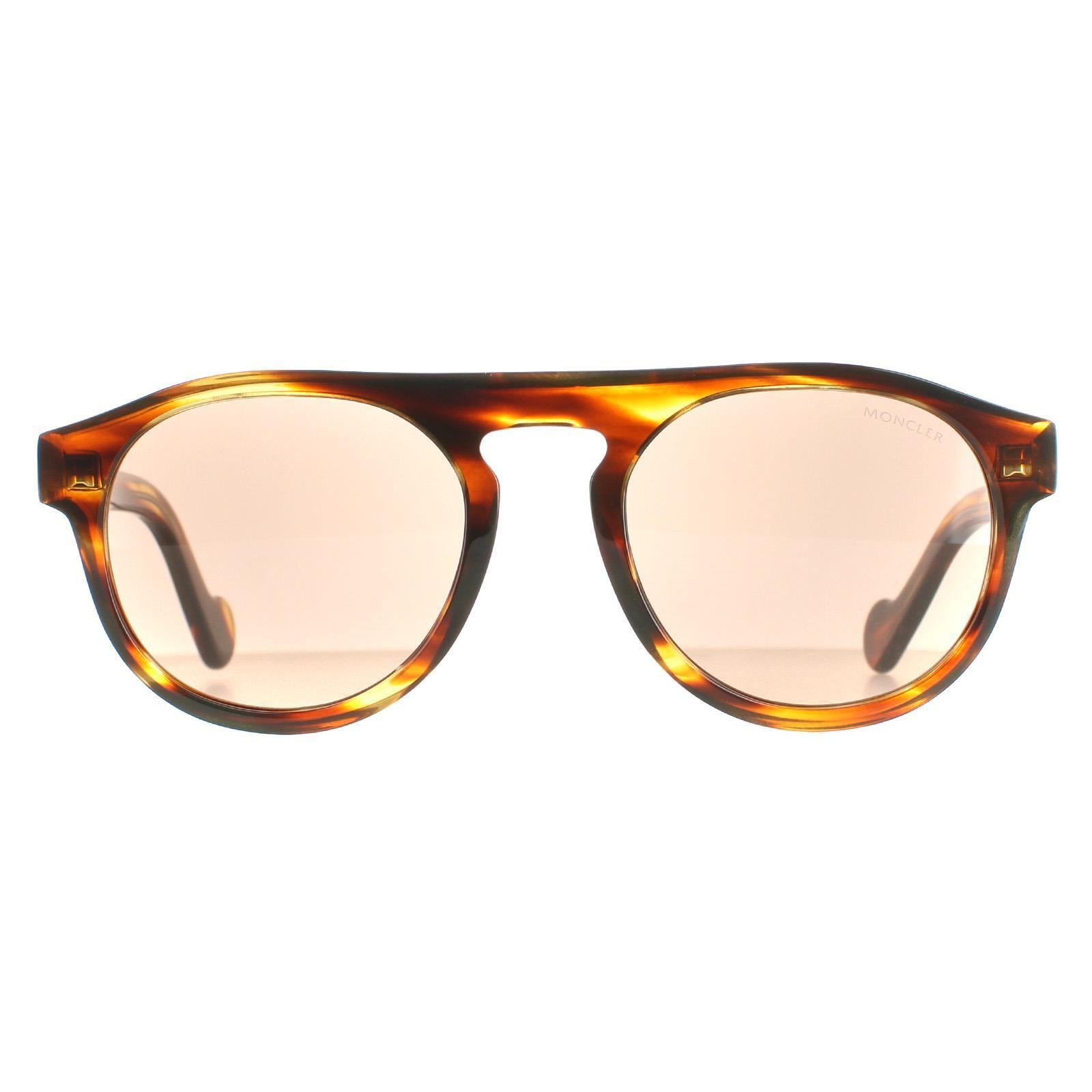 Moncler Round Unisex Dark Brown Brown Sunglasses