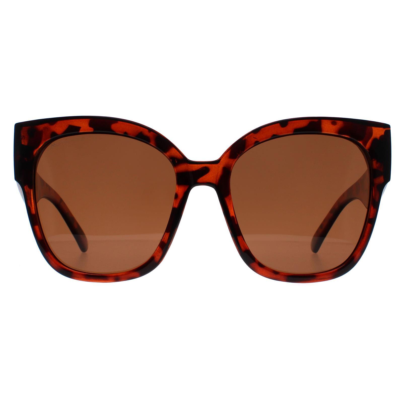 Montana Square Womens Shiny Tortoise Brown Polarized MP73