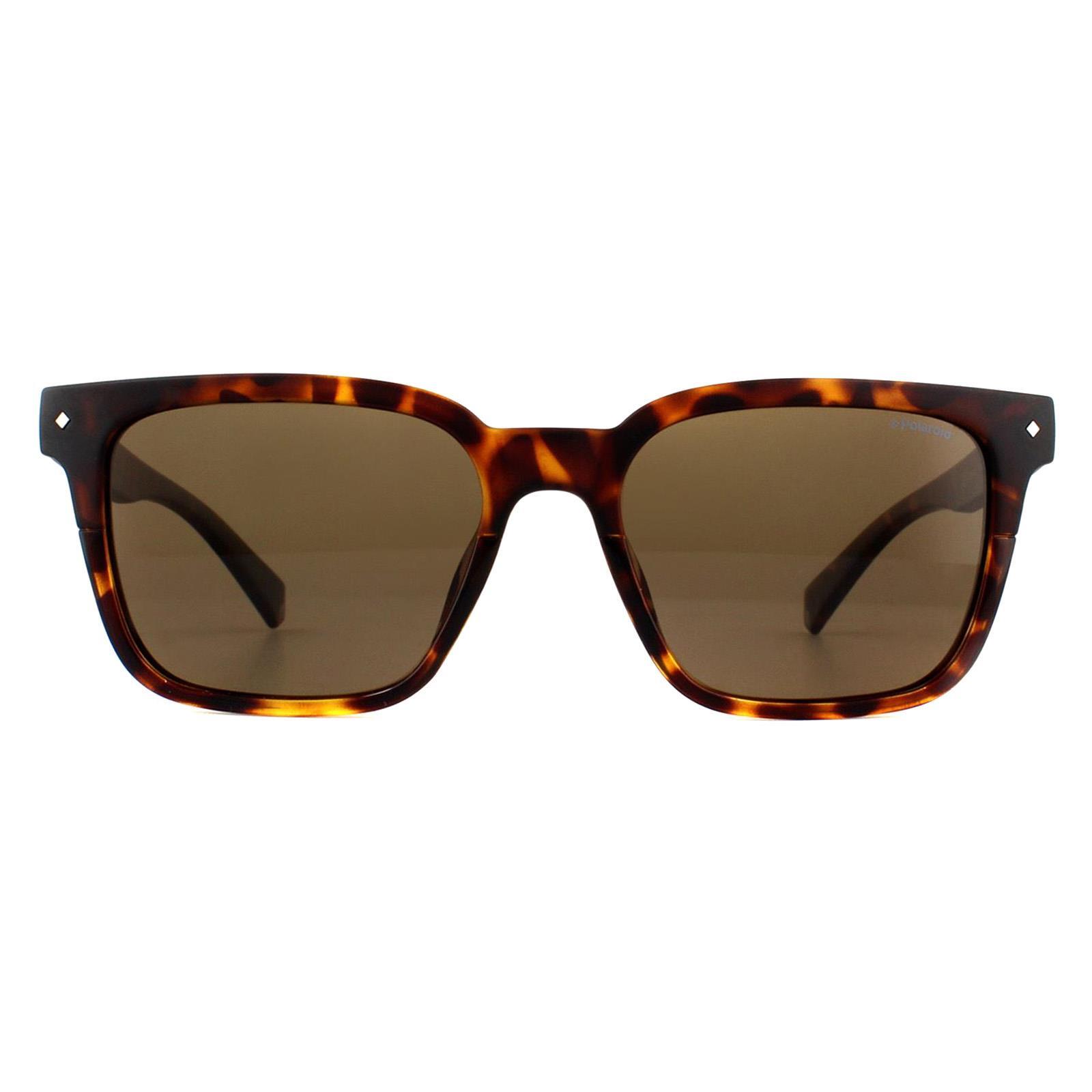 Polaroid Square Unisex Dark Havana Bronze Polarized Sunglasses