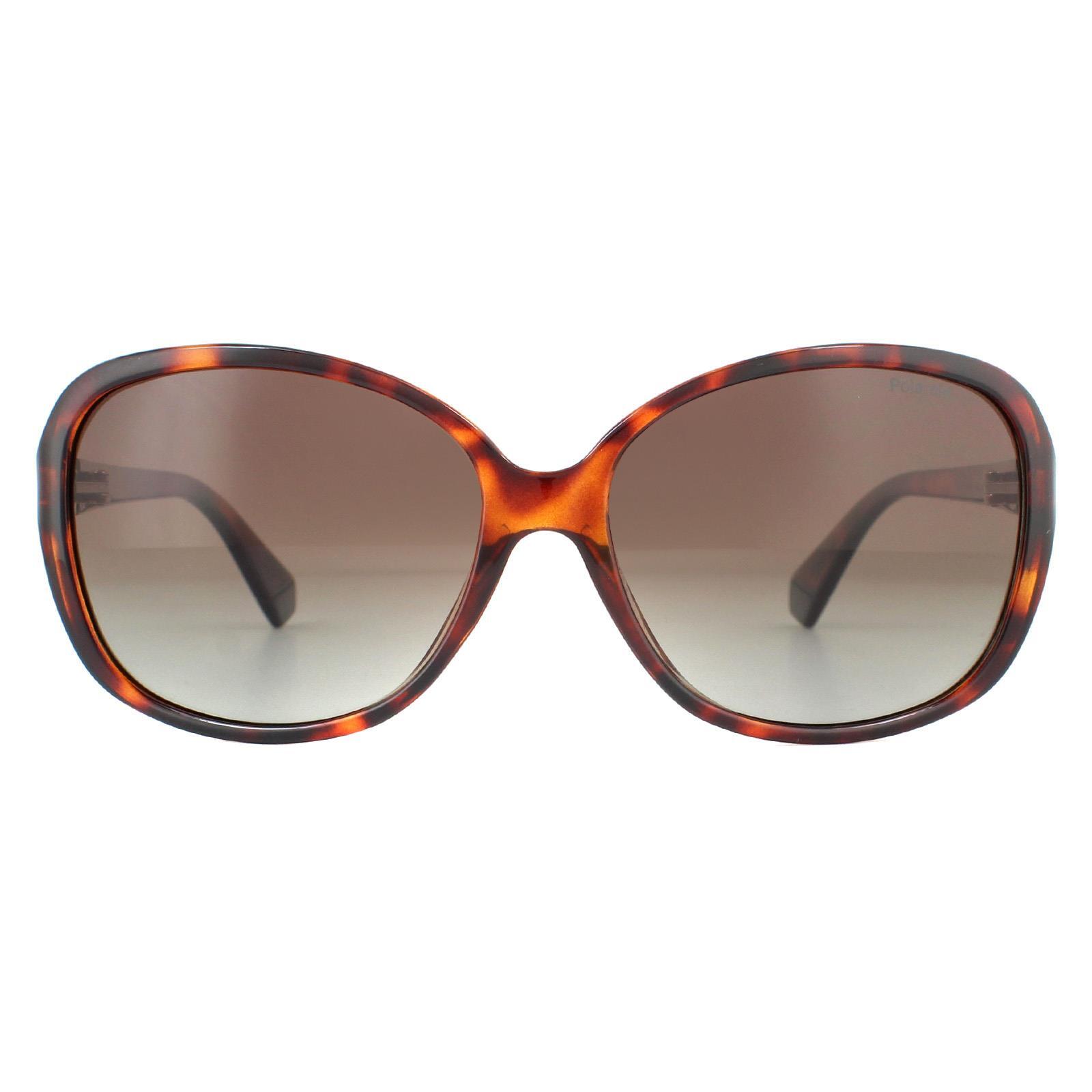 Polaroid Butterfly Womens Dark Havana Brown Gradient Polarized Sunglasses