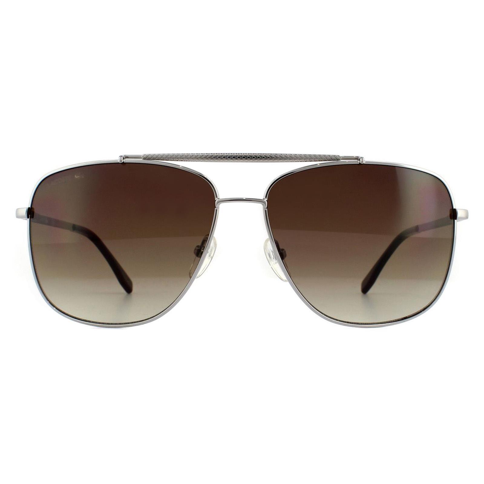 Lacoste Aviator Unisex Light Gunmetal Brown Sunglasses