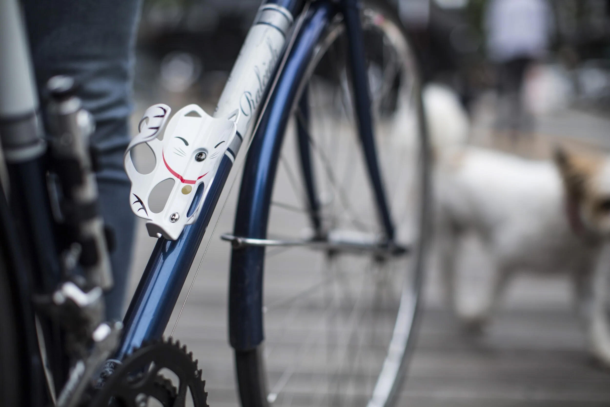 Cat bottle cage new arrivals