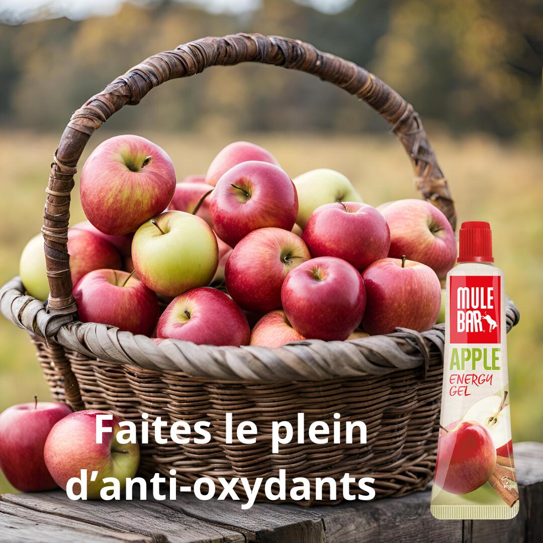 Pack découverte 10 gels énergétiques Mulebar (2 de chaque) - 37g 6/7