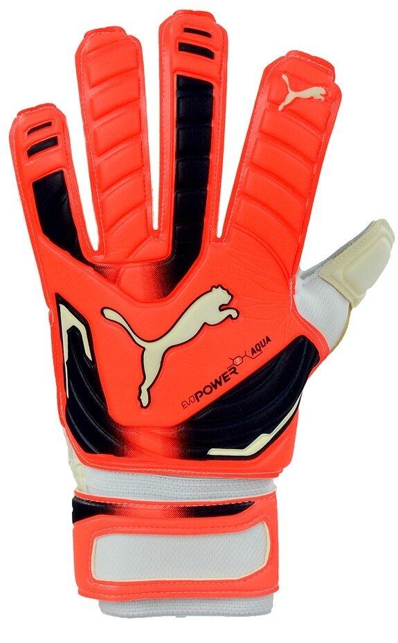 PUMA picture