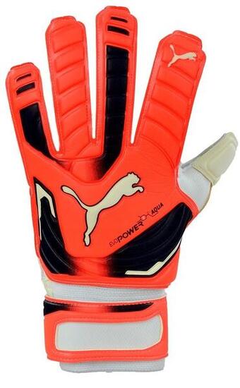 Rękawice bramkarskie Puma Evo Power Grip 2 aqua 41145 30