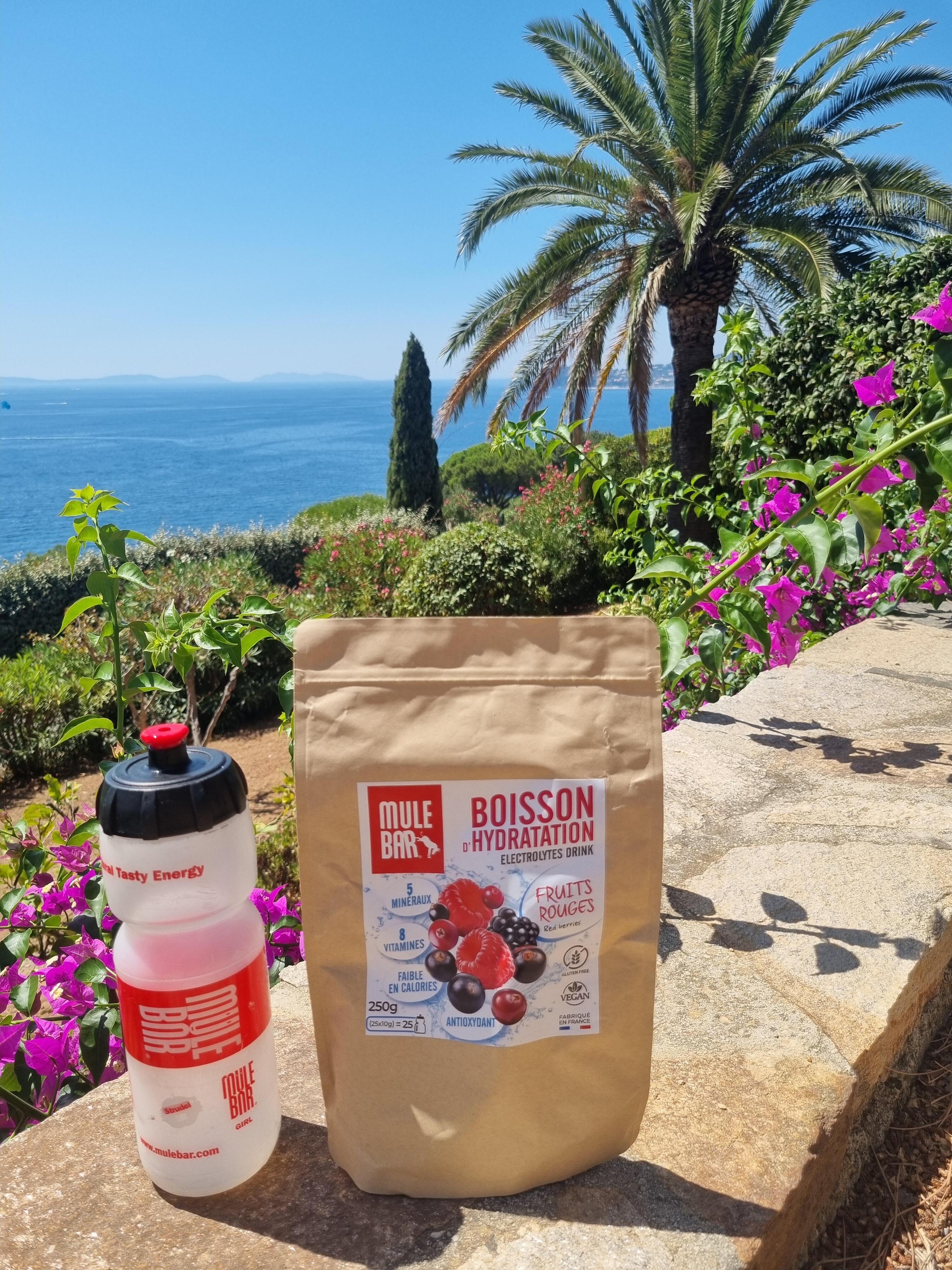Boisson d'hydratation - Electrolytes - Mulebar - Agrumes - 250g 5/5