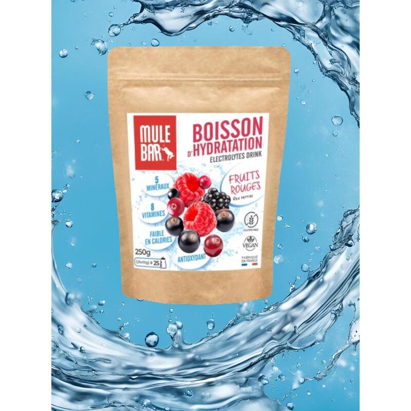 Boisson Isotonique Fruits Rouges – Andros Sport