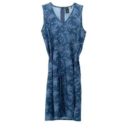 Kleid Röcke Tioga Road Print Dress in Blau