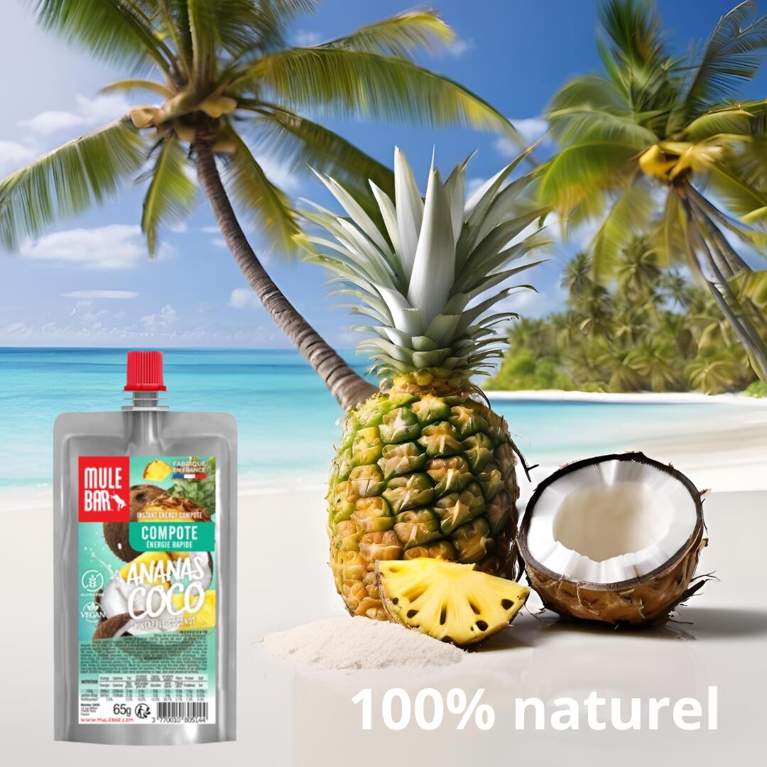 10 compotes énergétiques - bio - vegan - sans gluten - 65g - Ananas - Coco 6/6