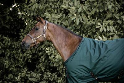 Wasserdichte Outdoor-Decke für Pferde Kentucky All Weather Pro 160 g