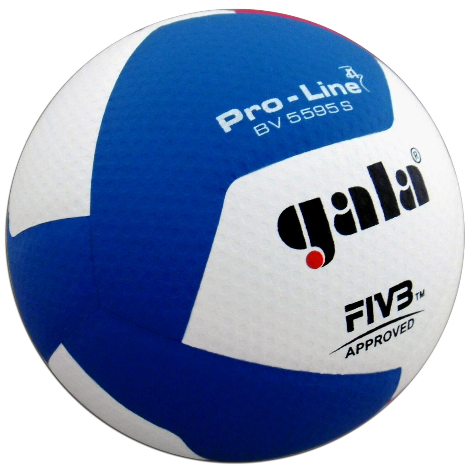 Volejbalový míč GALA PRO-LINE BV5595S HANDSHAKE 2/2