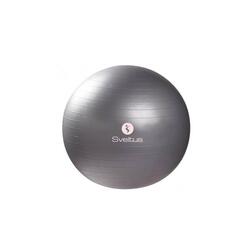 Gymballs | Gymball Parme (75cm)