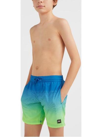 Badehose Cali Gradient 14'' Swim Shorts - blau