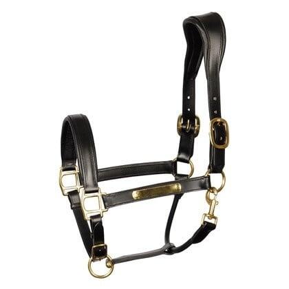 Anatomisches Halfter aus Leder Harry's Horse 1/3
