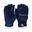 Franklin CFX Pro Full Color Chrome Series XL Navy