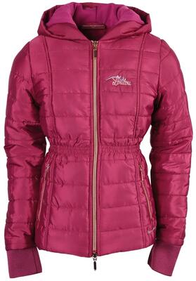 Harry's horse jas lou-lou morgins - maroon banner