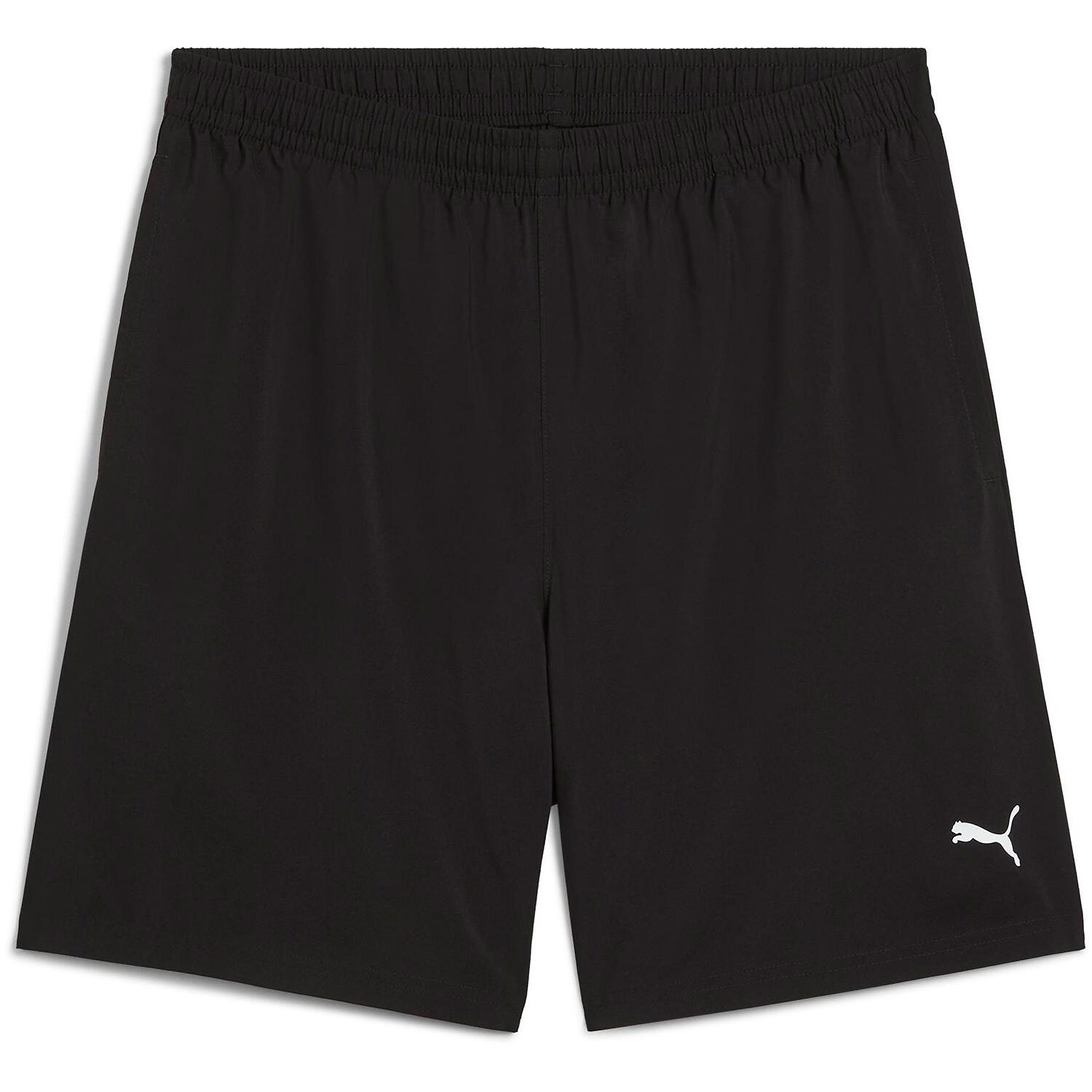 PUMA picture
