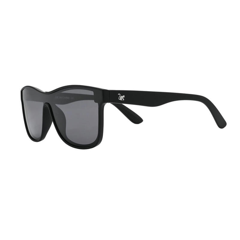 Lunettes de soleil Unisex - Polarisées / UV400 / TAC (Noir)