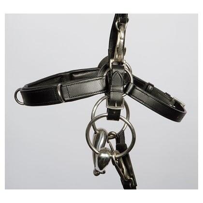 Harry's Horse Kaptoom Hoofdstel (Pony) 2/3