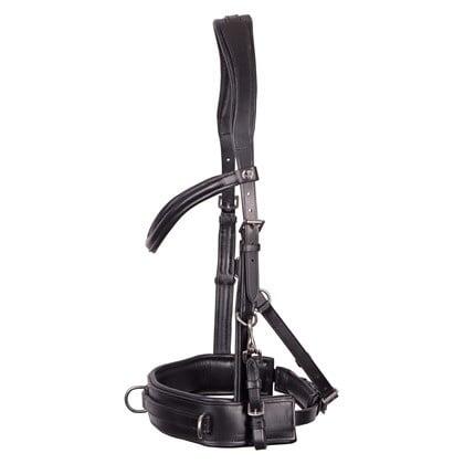 HARRYS HORSE Caveçon Zaumzeug für Pferde Leder Harry's Horse Comfort