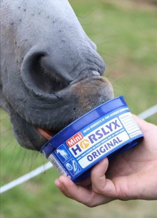 Horslyx Original Mini - 650 gram 2/3
