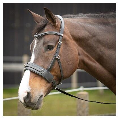 Harry's Horse Kaptoom Hoofdstel Leder Comfort - Zwart (Full) 2/4