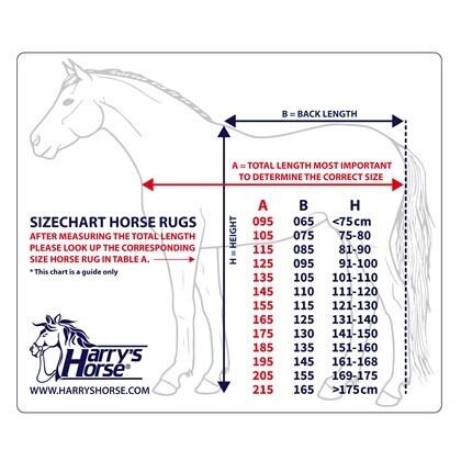 Coperta da esterno per cavalli Harry's Horse Thor 100 gr 2/3