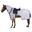 Drap d'exercice Imperial Riding Fly Royce - Gris Argenté