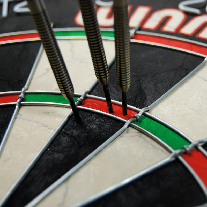 Winmau Pro SFB darts