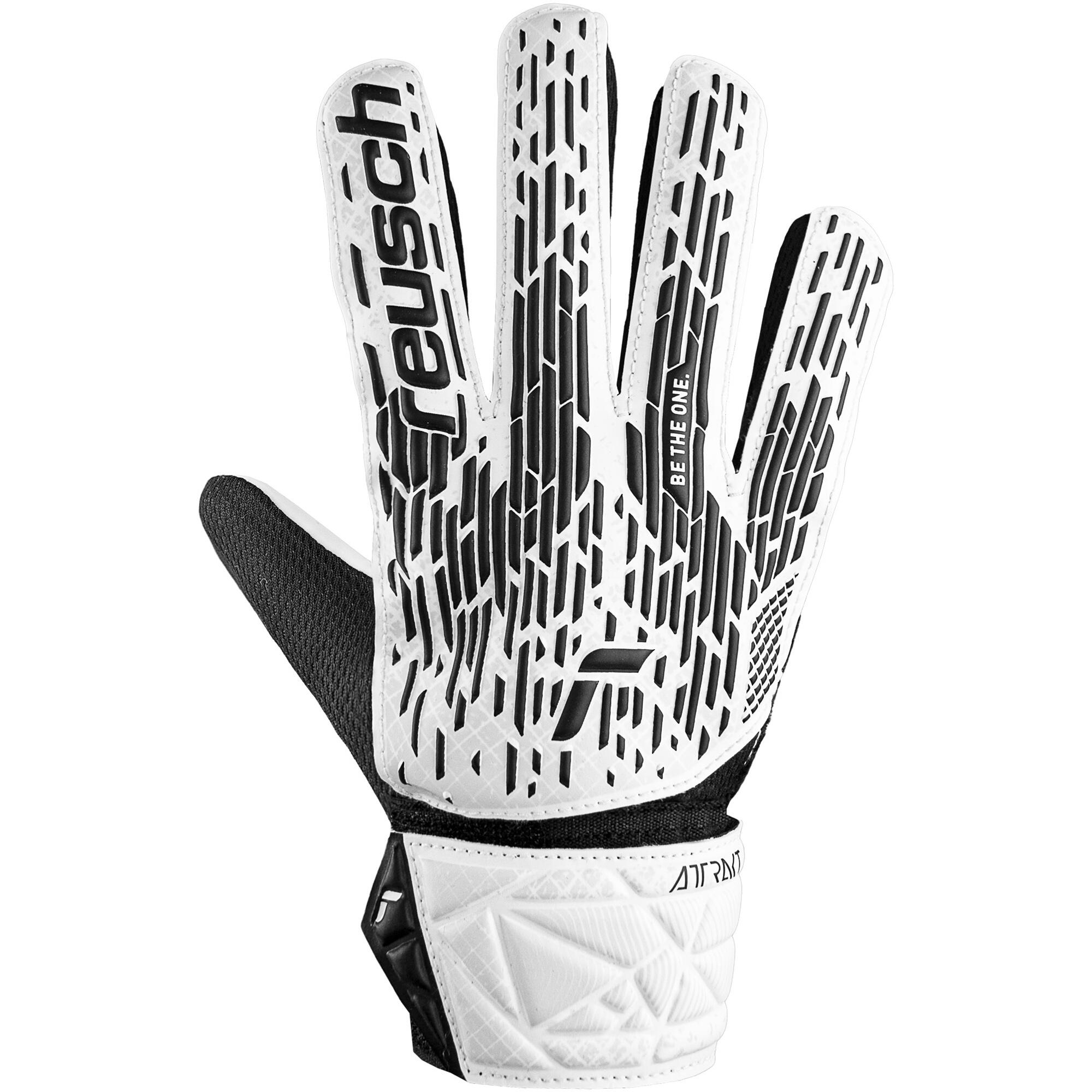 REUSCH picture