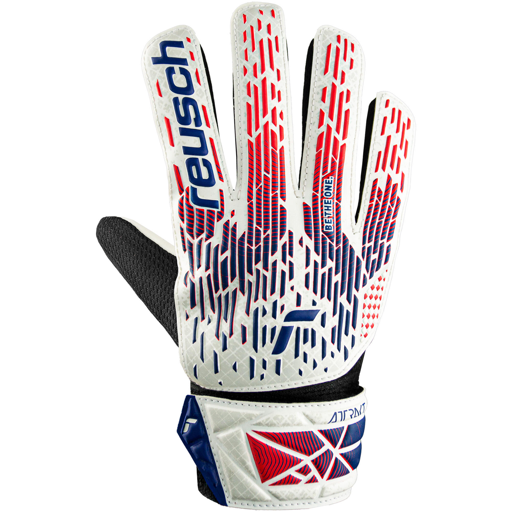 REUSCH picture