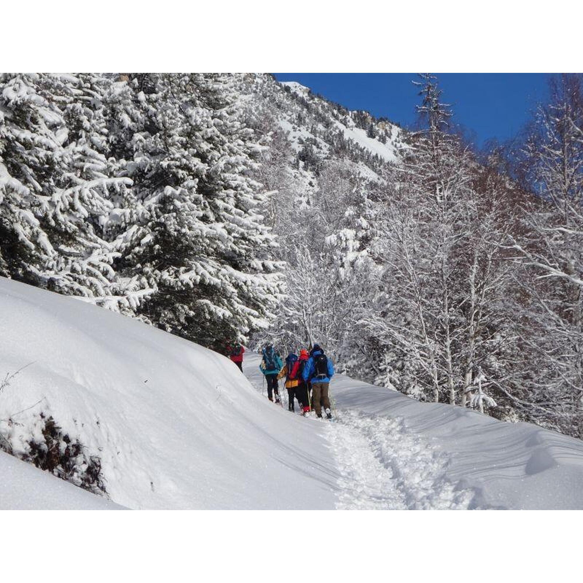 Sneeuwschoenverblijf in Bessans: avontuur in het hart van de Alpen