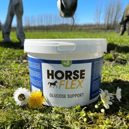 HorseFlex Glucose Support -  600 gram