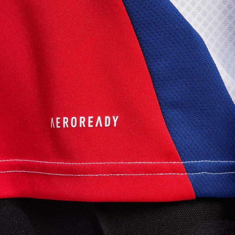 Maillot Domicile Arsenal 24/25