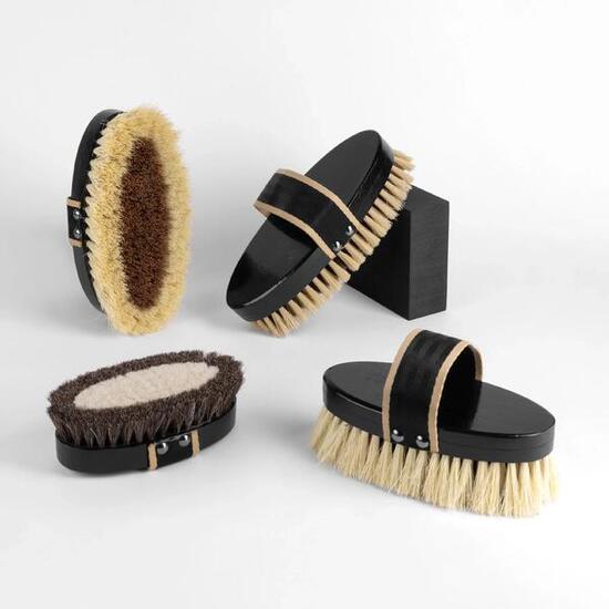 Ensemble de brosses premium GALOP WEAR pour cheval et équitation