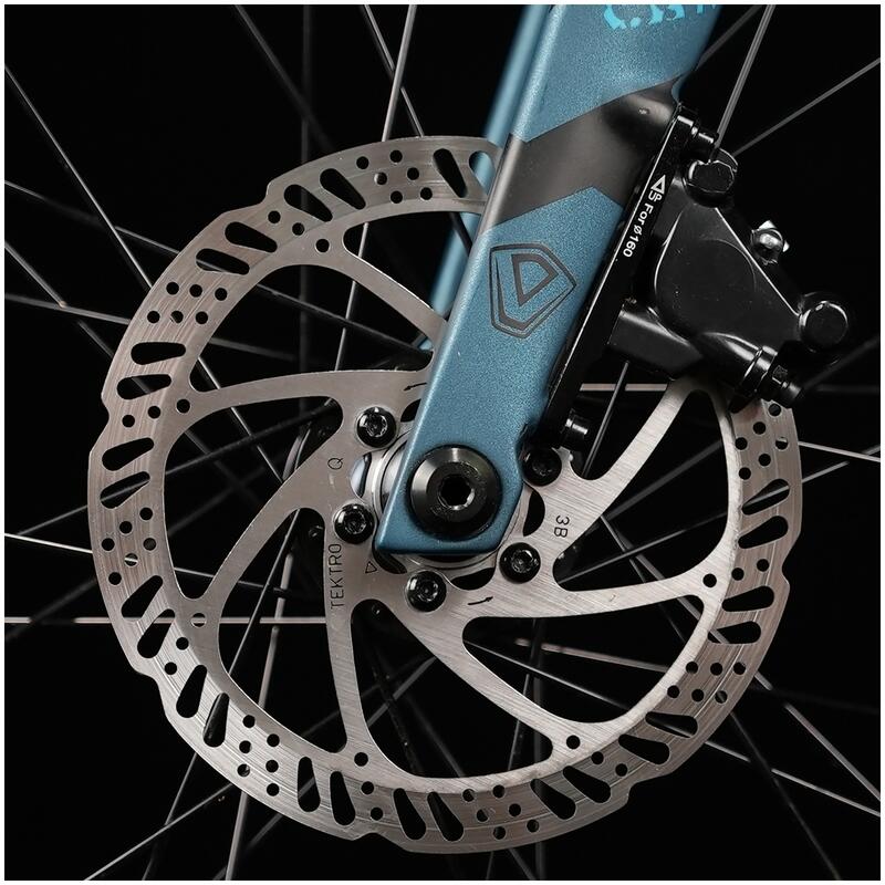 Vélo électrique Riva Carbon JAVA , noir-bleu
