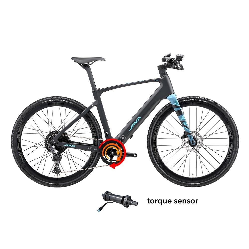 Riva Carbon JAVA E-Bike schwarz-blau 5/6