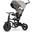 Qplay Rito Star Tricycle - Vélo d'équilibre - Gris