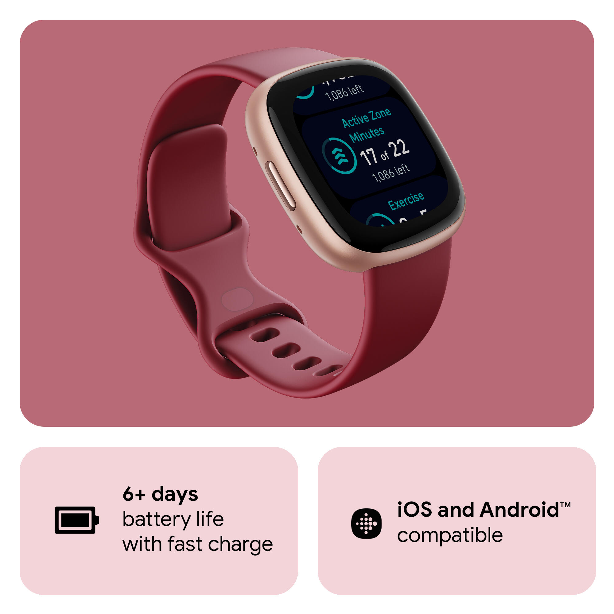 Fitbit Versa 4 Fitness Watch (Beet Juice / Copper Rose Aluminium)