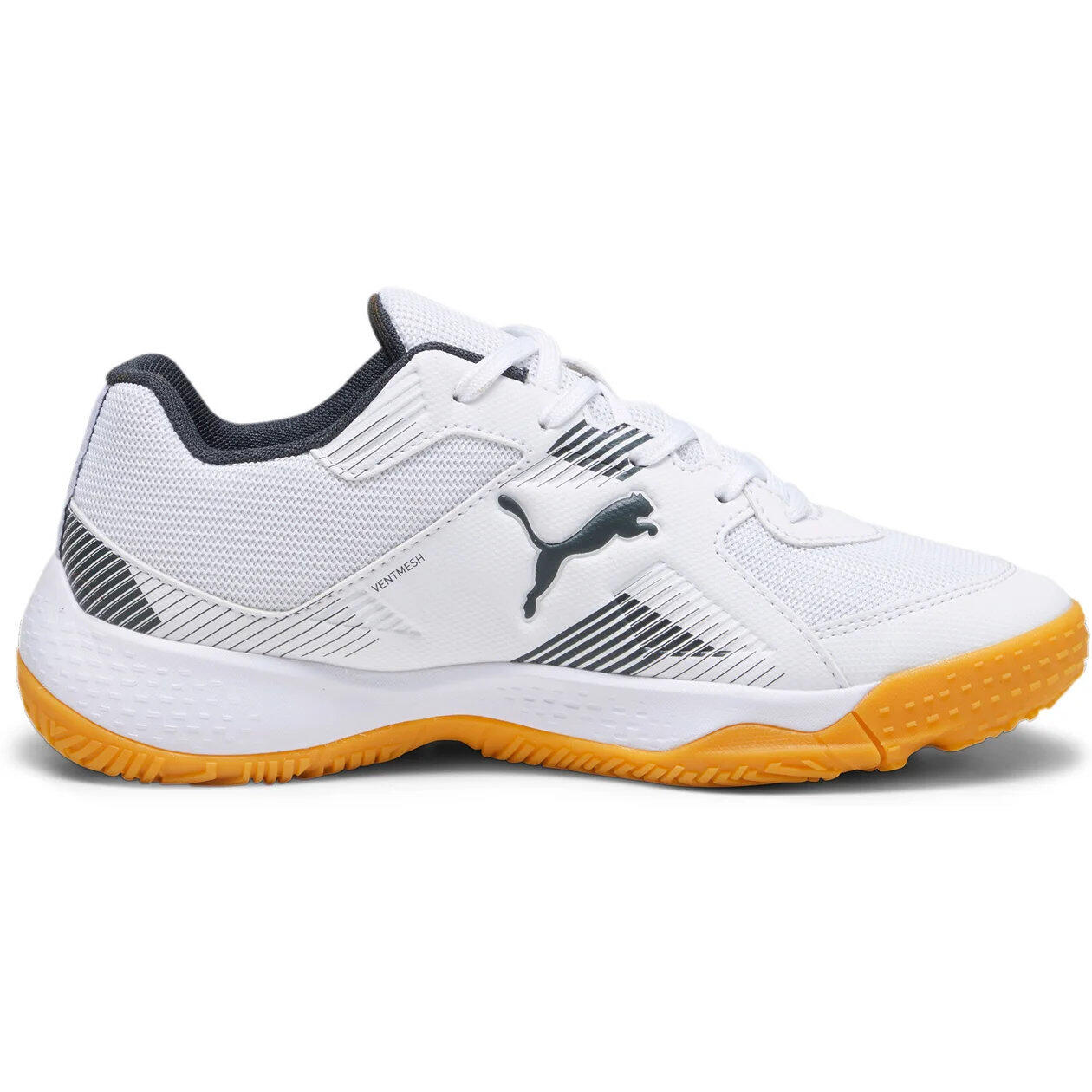 PUMA picture