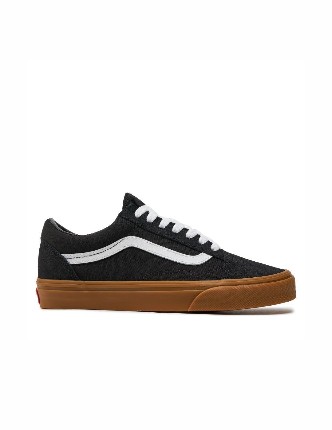 VANS picture